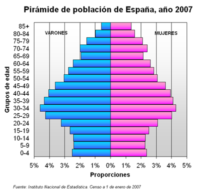 piràmide de població al 2007